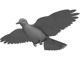 Dove 3D Model