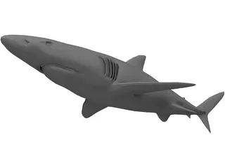 Blue Shark 3D Model