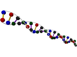 DNA Strand 3D Model