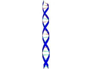 DNA Strand 3D Model