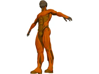 Muscle Man 3D Model