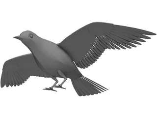 Dove Rock Pigeon 3D Model