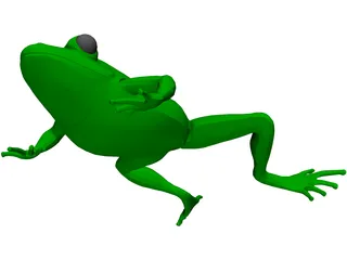 Frog 3D Model