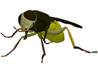 Fly 3D Model