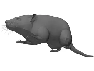 Rat 3D Model