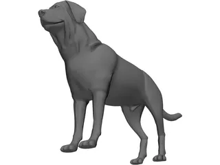 Dog 3D Model