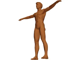 Man 3D Model