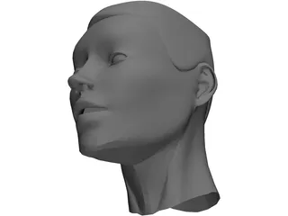 Head 3D Model