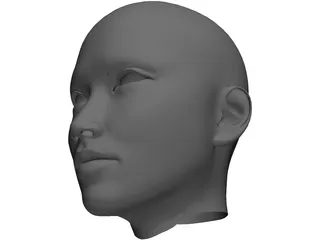 Woman Head 3D Model