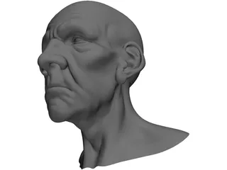 Man Head Old 3D Model