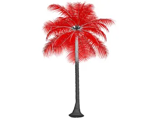 Palm Tree 3D Model