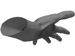 Open Hand 3D Model