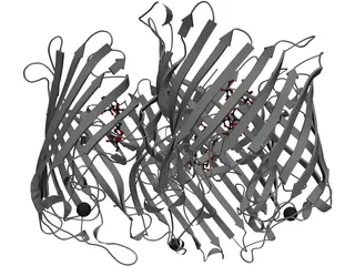 Protein 3D Model