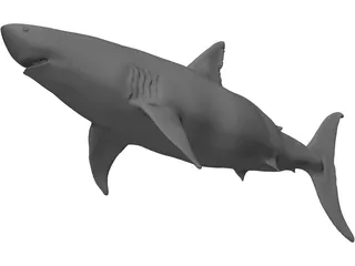 White Shark 3D Model