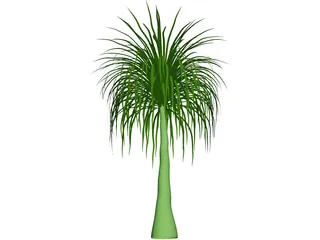 Palmera 3D Model