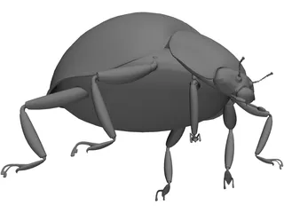 Ladybug 3D Model