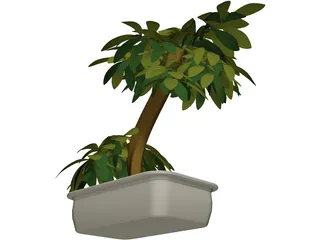 Small Tree 3D Model