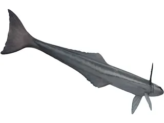 Remora 3D Model