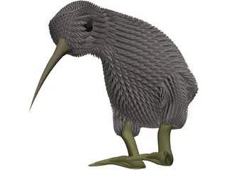 Kiwi Bird 3D Model