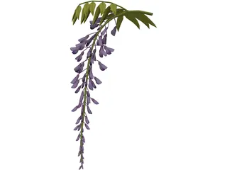 Wisteria Flower Japanese 3D Model