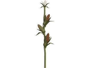 Corn Stalk 3D Model