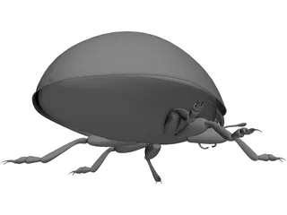 Ladybird 3D Model