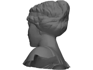 Head and Shoulders of a Statue of a Lady 3D Model