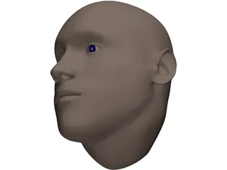 Human Head 3D Model