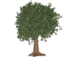 Oak Tree 3D Model