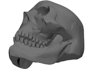 Skull Hell 3D Model