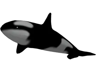 Orca 3D Model