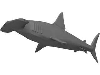 Shark 3D Model