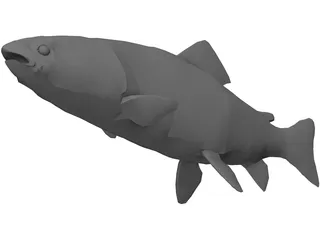 Rainbow Trout 3D Model