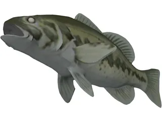 Bass 3D Model