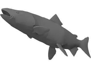 Salmon 3D Model