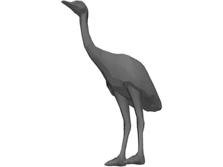 Ostrich 3D Model