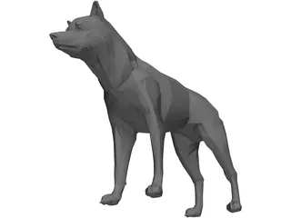 Coyote 3D Model