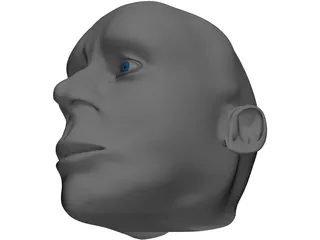 Head Male 3D Model