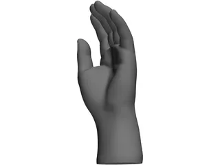 Hand 3D Model