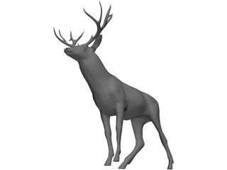 Stag 3D Model