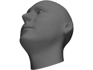 Human Head 3D Model