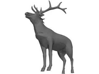 Elk 3D Model