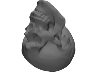 Skull Hollowed 3D Model