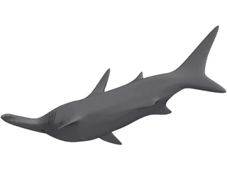 Shark 3D Model