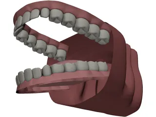 Mouth 3D Model