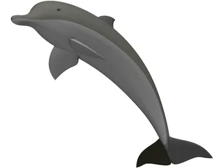 Dolphin 3D Model