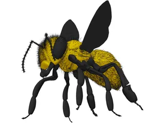 Bee with Fur 3D Model