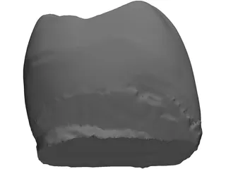 Molar Tooth 3D Model