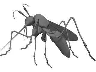 Mosquito 3D Model