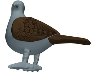 Pigeon 3D Model